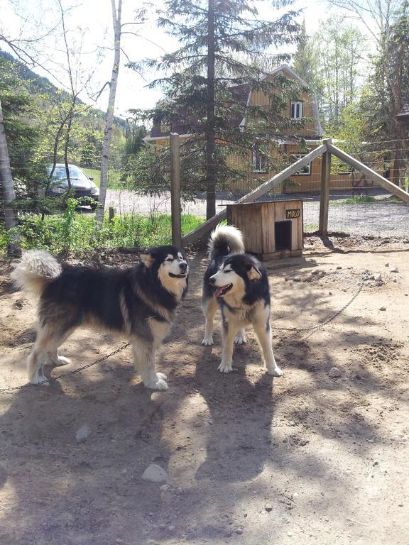 Hotel Grangette Entre Chiens et Loups à LʼAnse-Saint-Jean Extérieur photo